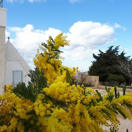 Appartamento Masseria Poesia *